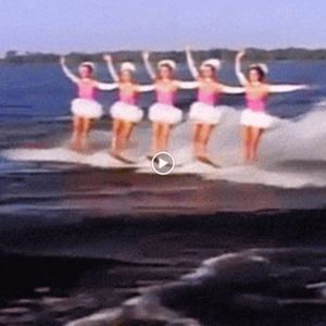 Meet your Posher, Lily